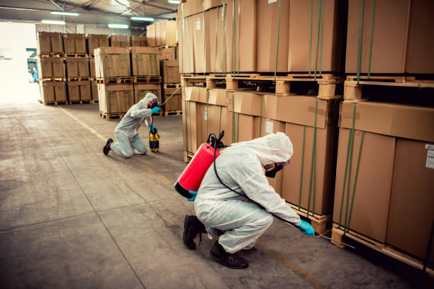 Reliable Ponchatoula, LA Pest Control Solutions