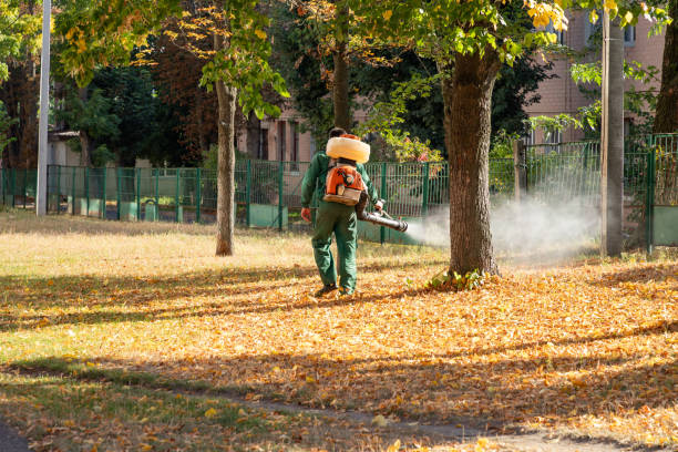 Best Best Pest Control Companies  in Ponchatou, LA