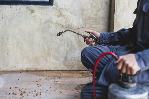 Best Ant Control Services  in Ponchatou, LA